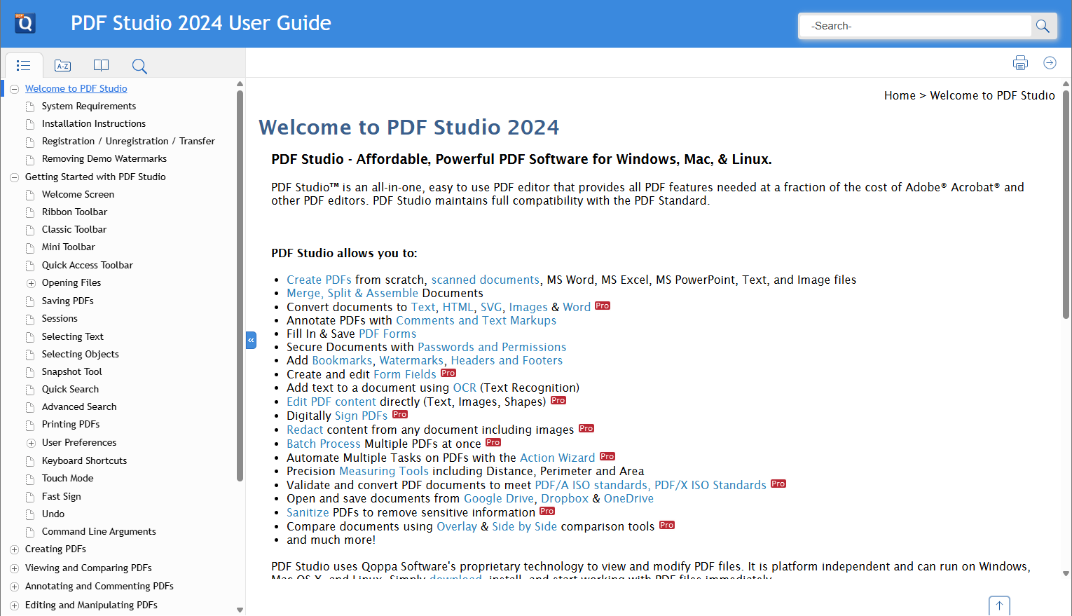 Screenshot of a professional, well-organized online user guide for an end-user application.
